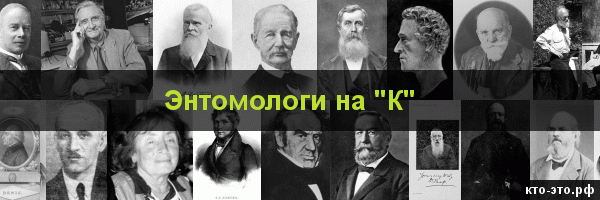 Энтомологи на букву "К"