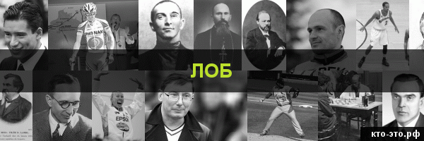 Лоб