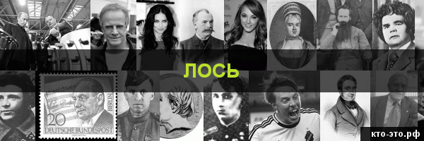 Лось