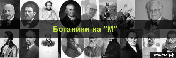 Ботаники на букву "М"
