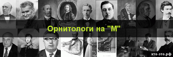 Орнитологи на букву "М"