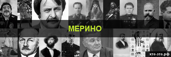 Мерино