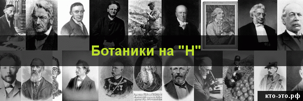 Ботаники на букву "Н"