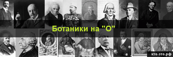 Ботаники на букву "О"