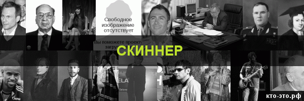 Скиннер