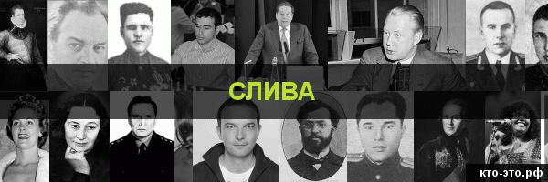 Слива