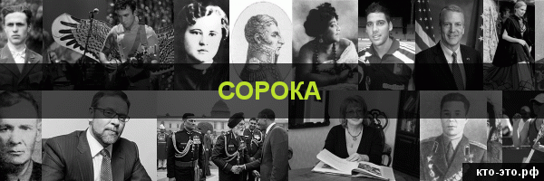 Сорока