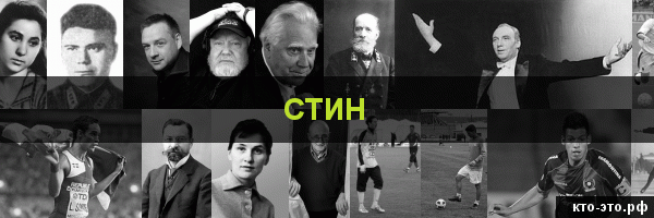 Стин