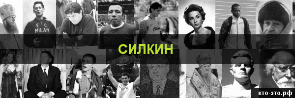 Силкин
