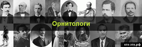 Орнитологи