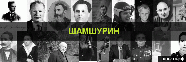 Шамшурин