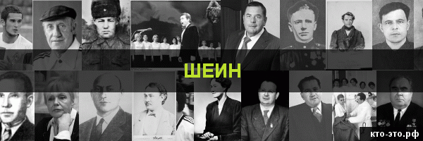 Шеин