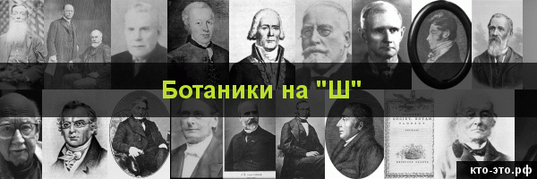 Ботаники на букву "Ш"