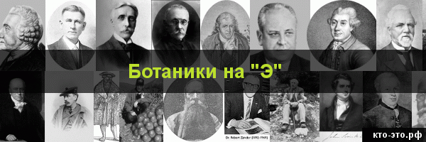 Ботаники на букву "Э"