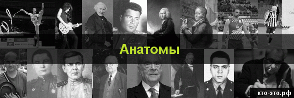Анатомы